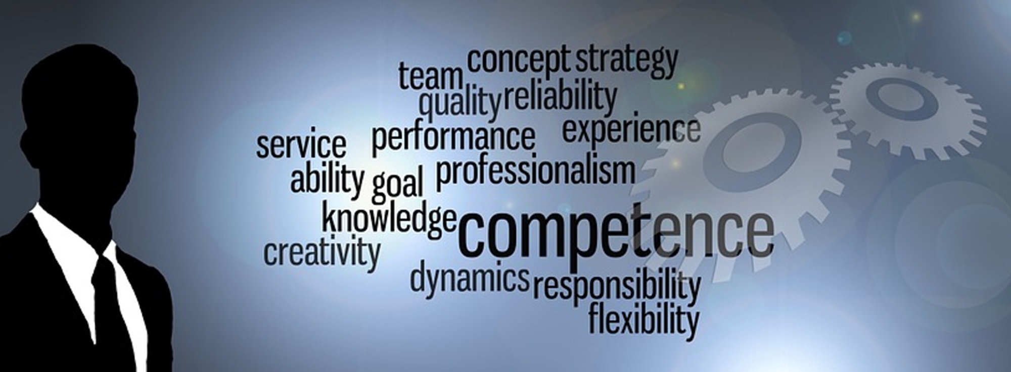Mann vor Text competence, concept, strategy, team, service, perfomance, professionalism, creativity, felexibility ...