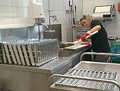 Mitarbeiterin reinigt in einer Großküche