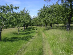 wege1006