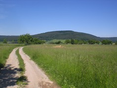 wege1010