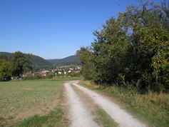wege1013