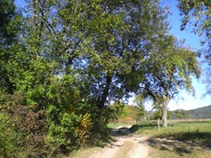 wege1014