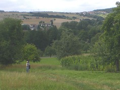 wege1028