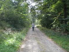 wege1036