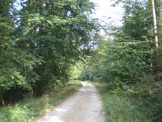 wege1039