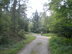 wege1040