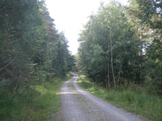 wege1063