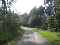 wege1065