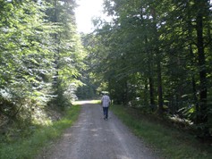 wege1066