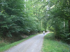 wege1068