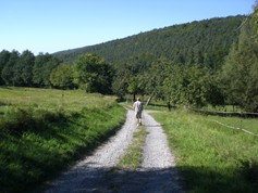 wege1085