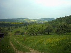 wege1093