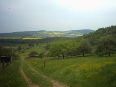 wege1094