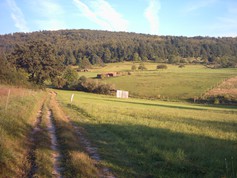 wege1096