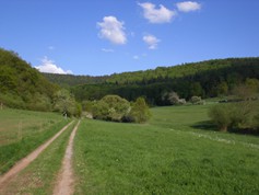 wege1098
