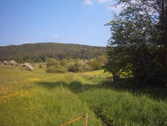 wege1100