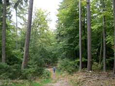 heppe7255