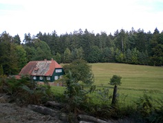 heppe7338