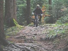 mbike9009